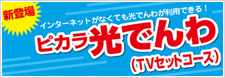 ピカラ光でんわTVセットコース
